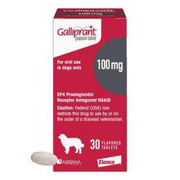 Galliprant (Grapiprant) Flavored Tablets Rx